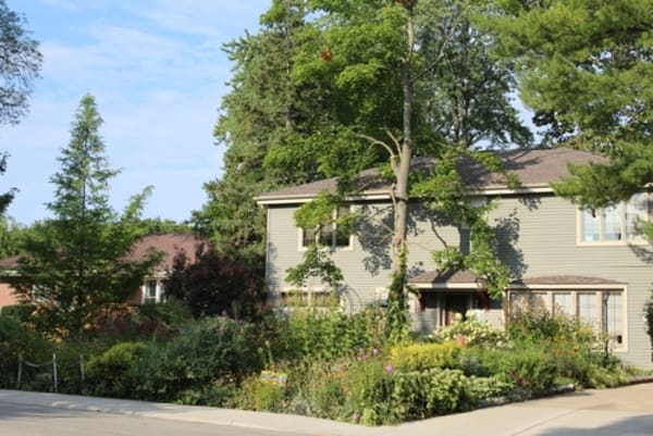 Rewilding of Lawns Can Lead to Fines, Court Appearances, and Disagreements
