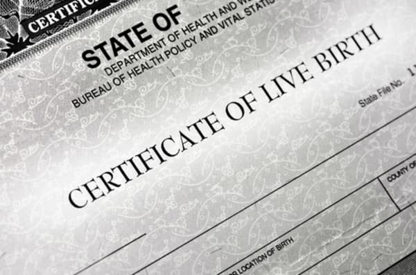 Georgia Appellate Court Bridges Gap for Same-Sex Parental Custody