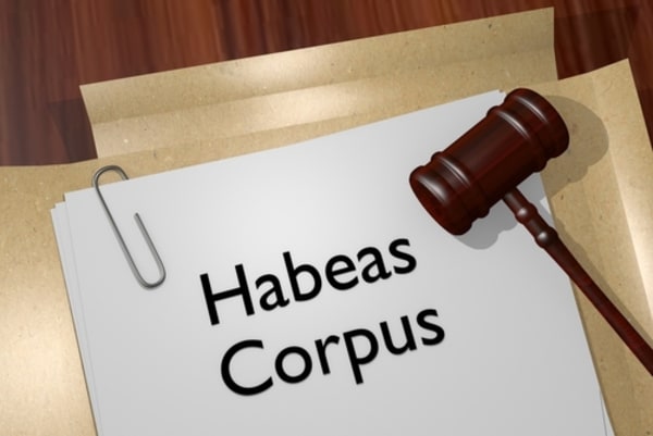 What Ghislaine Maxwell’s Filing a Pro Se Habeas Petition for Release Means