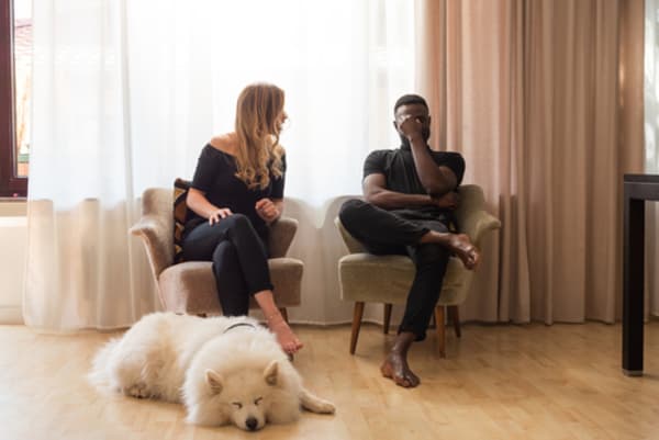 Advancement of Colorado Bill Moves Considering the Well-Being of Pets in Divorce Cases One Step Closer To Becoming Law