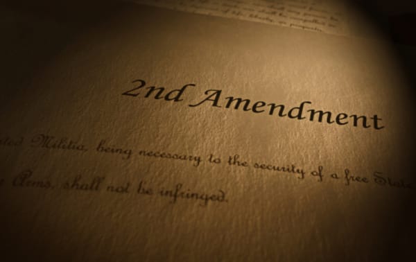 What Is the Federal Gun Rights Restoration Program?