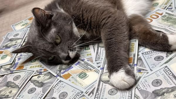 Lifestyles of the Rich and Fur-mous: Do Pet Trusts and “Pet-Preneurship” Really Make Pets Wealthy?