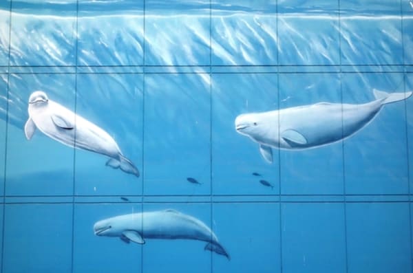Artist Files Whale of a Lawsuit Against FIFA for Destruction of Dallas Mural