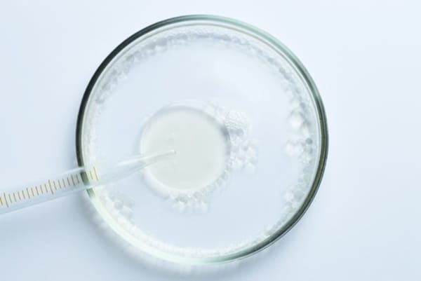 Couple Reaches Confidential Custody Agreement With Biological Parents in Florida IVF Embryo Mix-up
