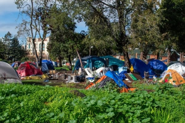 What Berkeley’s Homeless Encampment Lawsuit Means for Cities and Unhoused Residents