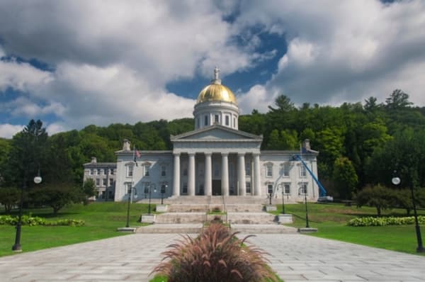 So Easy a Teenager Can Do It: What’s Involved in Running for Governor (or Most Public Offices)