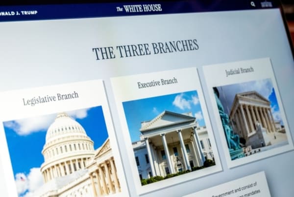 A Third of Americans Can’t Name the Three Branches of Government. Here’s Why That Affects Your Rights.