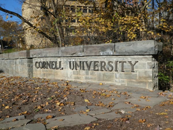 Civil Lawsuit for Alleged Gang Rape at Cornell University Prompts Reopening of Criminal Investigation