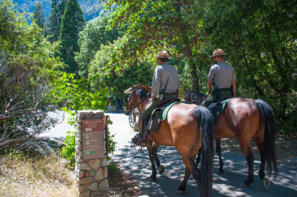 Can Park Rangers Act as Prosecutors? Yosemite Case Tests the Limits.