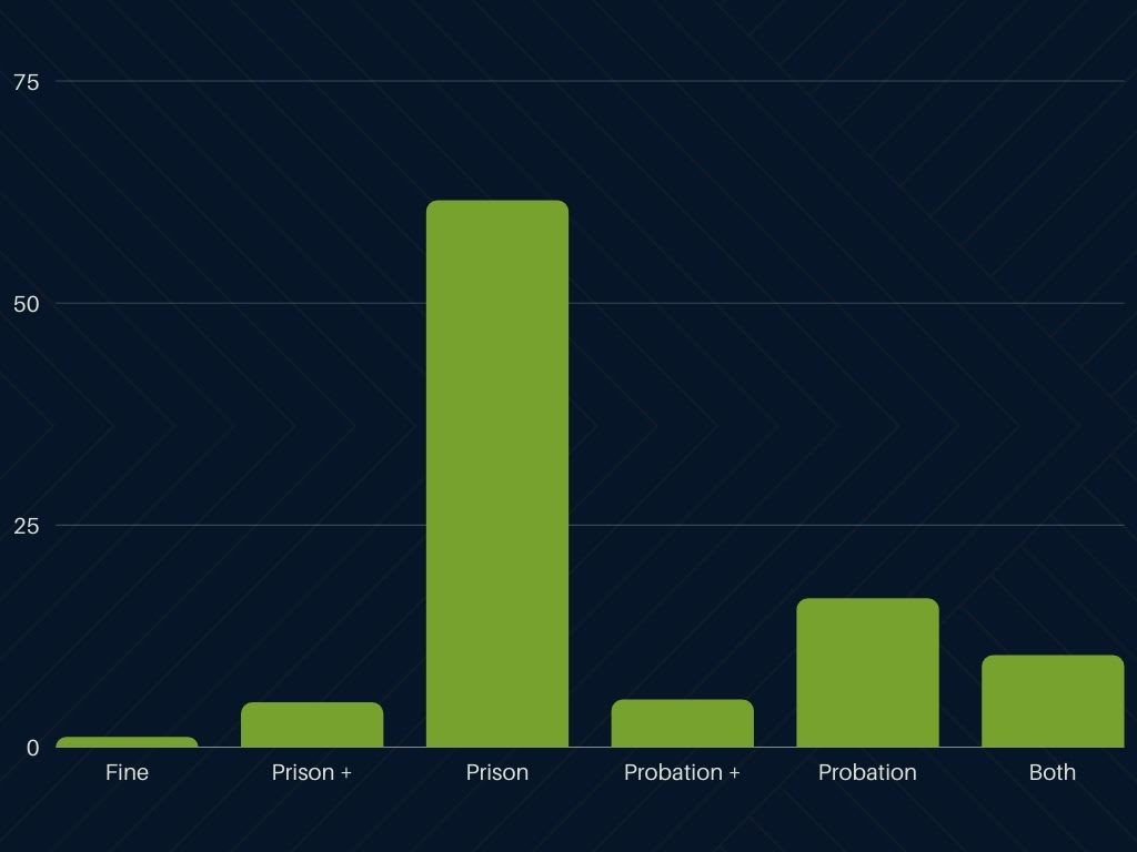 a bar chart showing the type of sentence given for a federal fraud conviction