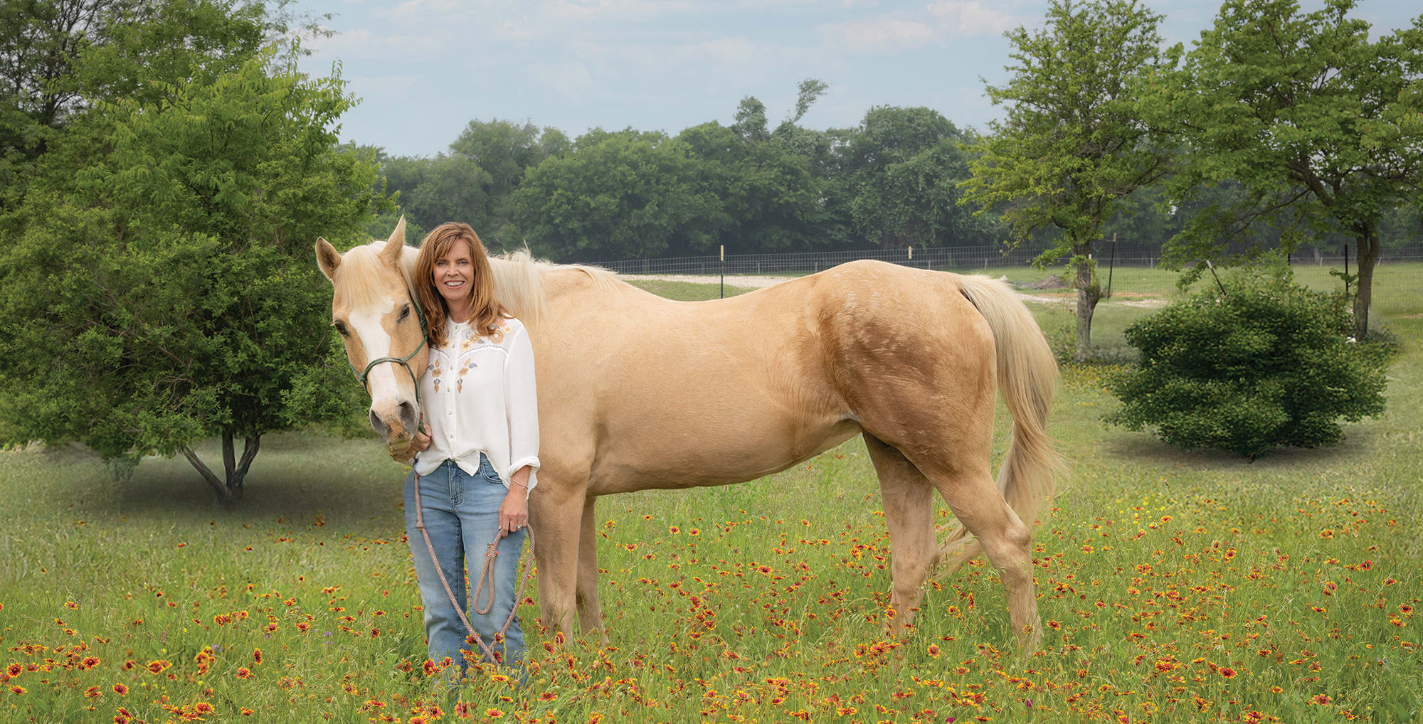 Attorneys Articles Hero