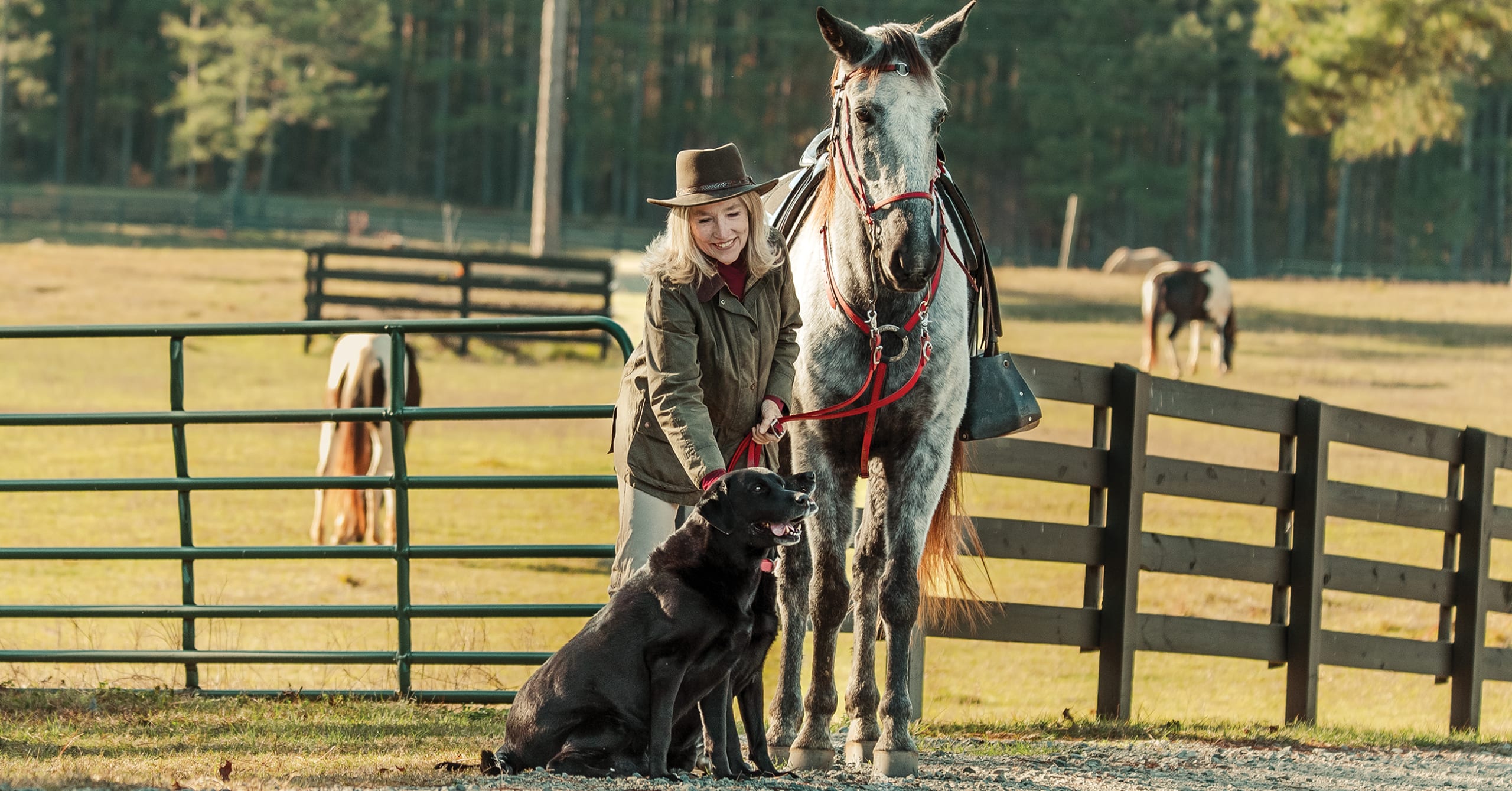 Attorneys Articles Hero